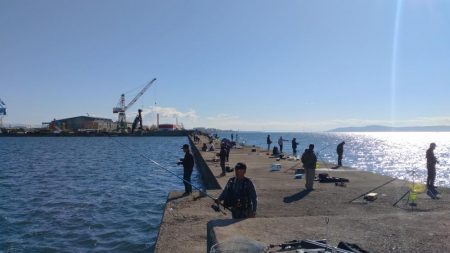 短い時合いを捉える事が出来ました