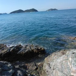 デカイマダイ・・・・