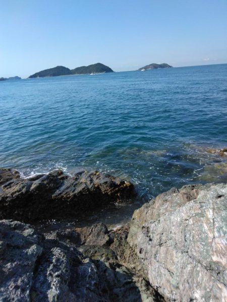 デカイマダイ・・・・