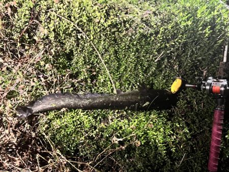 自作ルアーにて（ピーナッツ君）