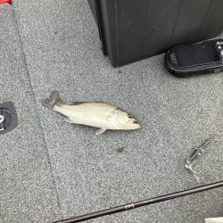 ディープホールでロクマル他