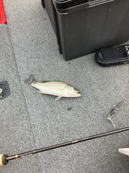 ディープホールでロクマル他