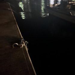 爆風でしたが…