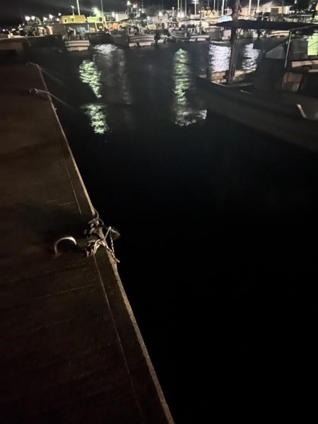 爆風でしたが…