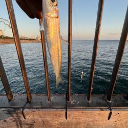 激渋〜カマボコの素〜