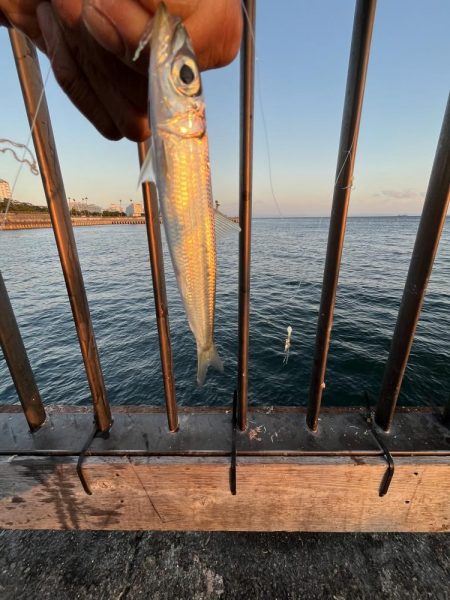 激渋〜カマボコの素〜