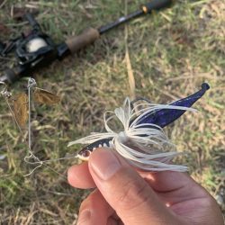 秋を感じながらのバス釣り