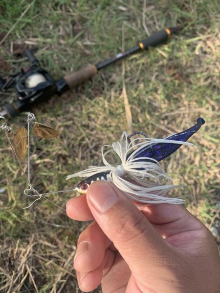 秋を感じながらのバス釣り