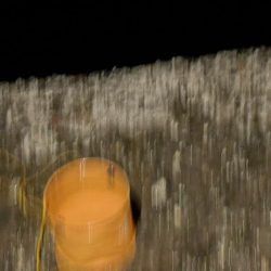 タチウオも大サバもよく釣れました