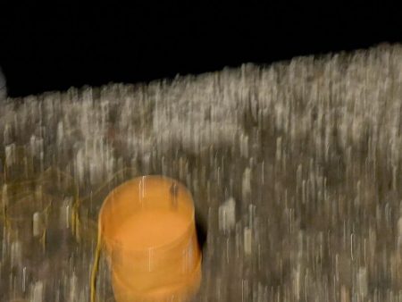 タチウオも大サバもよく釣れました