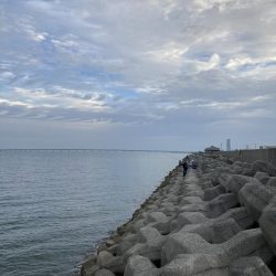 まさかのマゴチ