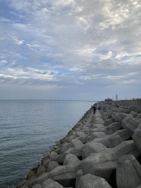 まさかのマゴチ