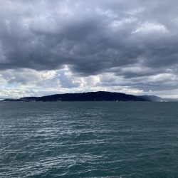 昼グレと夜タチ