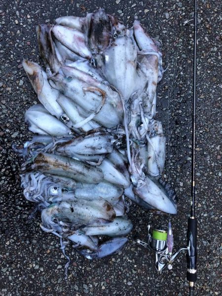 エギング　佐渡遠征③2日目、3日目