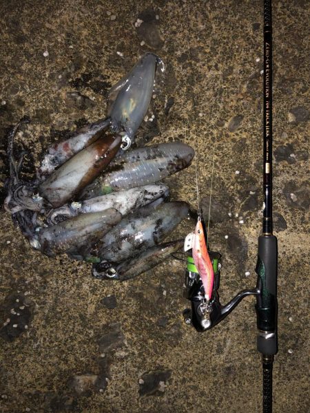 エギング　佐渡遠征④1日目