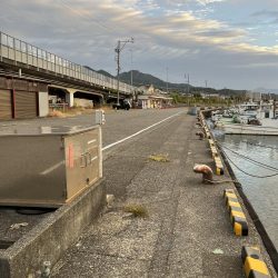 遠征ライトゲーム！