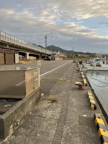 遠征ライトゲーム！