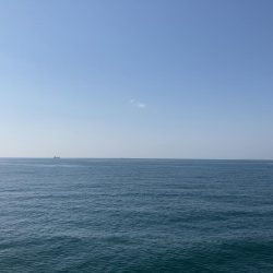 カゴ釣りで真鯛