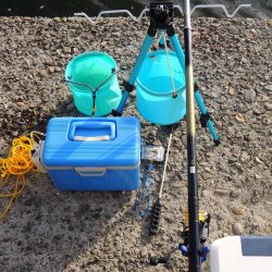 エビ撒き釣り　ミニセイゴばかり