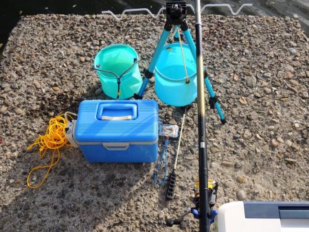 エビ撒き釣り　ミニセイゴばかり