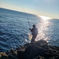 DAIWAグレマスターズ串本大会