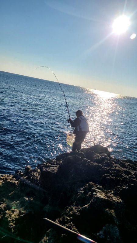 DAIWAグレマスターズ串本大会