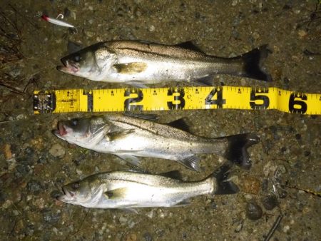 静けさの中での、まさかのHit！