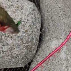 見渡す限りでNo.1