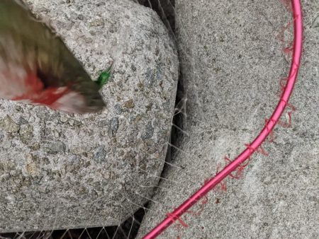 見渡す限りでNo.1