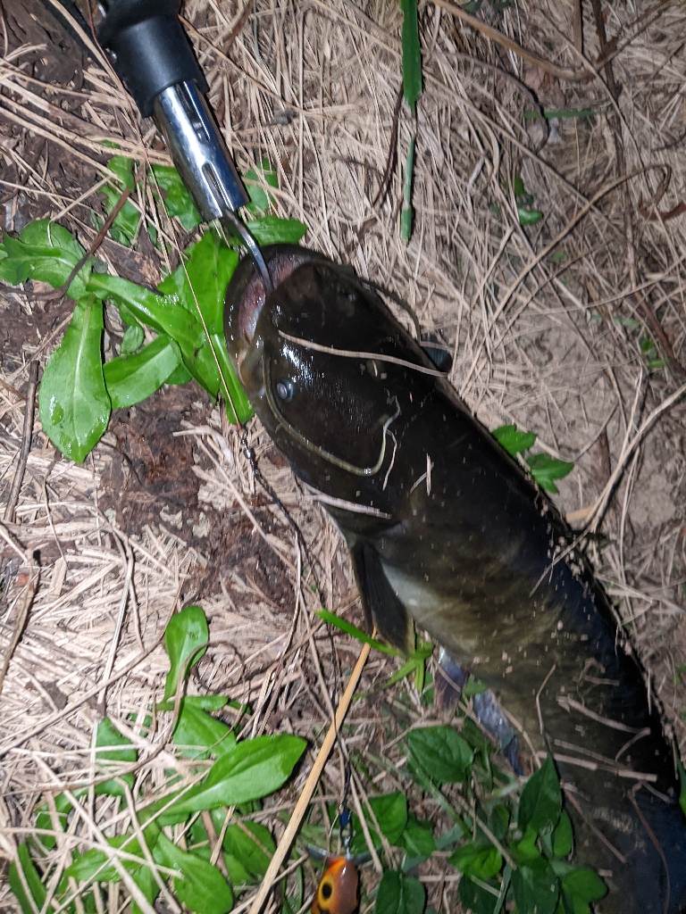 バスつれたのに…