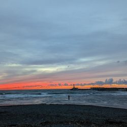 人生初サケ!!ブッコミで掛かる!?