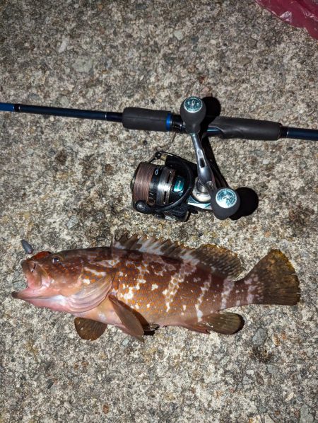 エギング、アジング、ハタゲーム