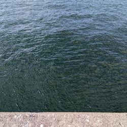 ブロックの境い目(笑)