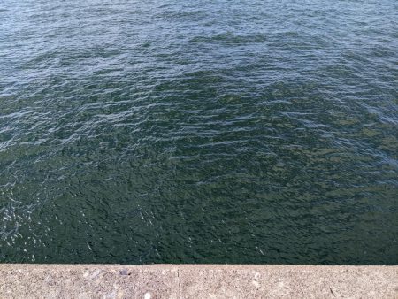 ブロックの境い目(笑)