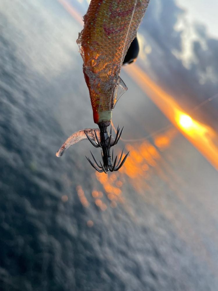 2023 佐渡ヶ島エギング 29回目【10月12日】