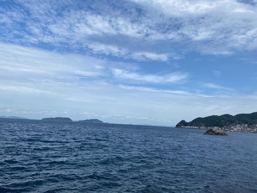 大分初エギング数釣り