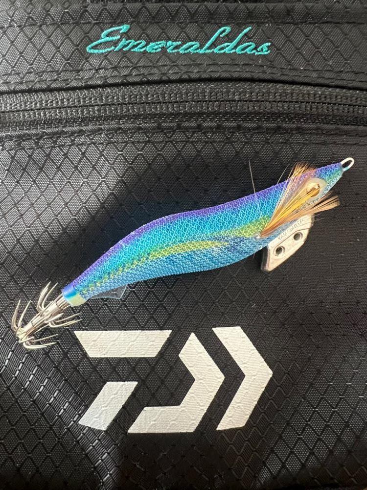 伊根デイエギング