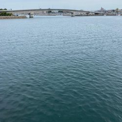 五目釣りチャレンジ