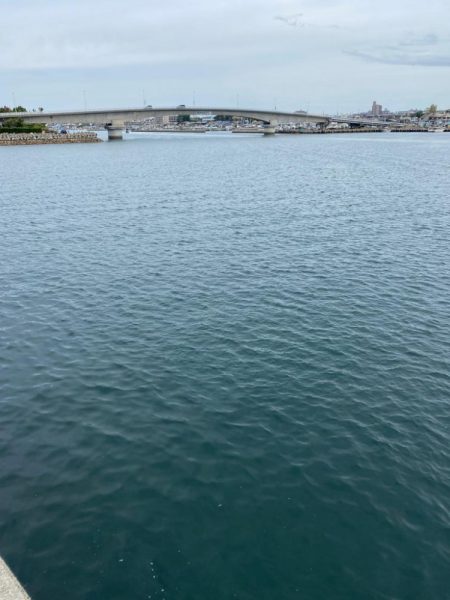 五目釣りチャレンジ