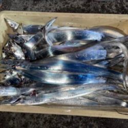 ここはパラダイスか？