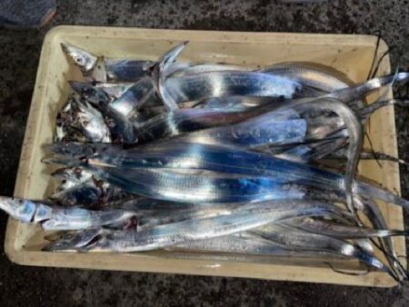 ここはパラダイスか？