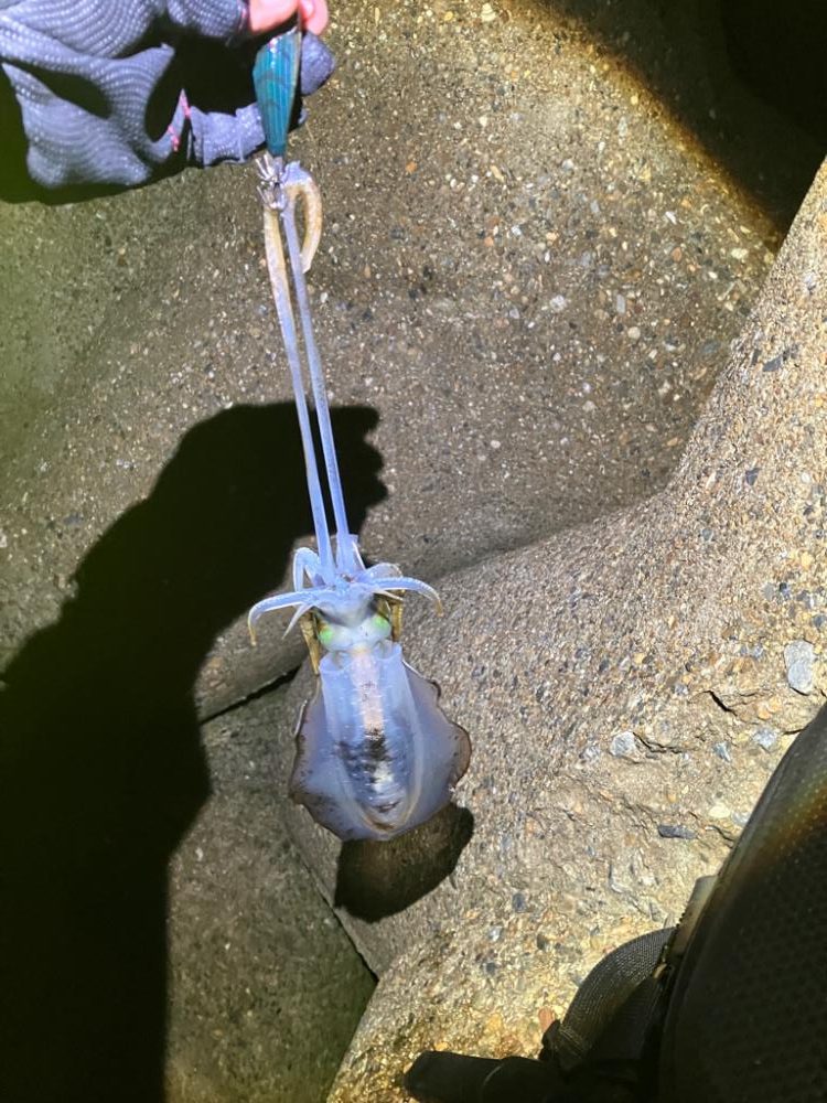 爆風、うねりの中ナイトエギングσ(^_^;)