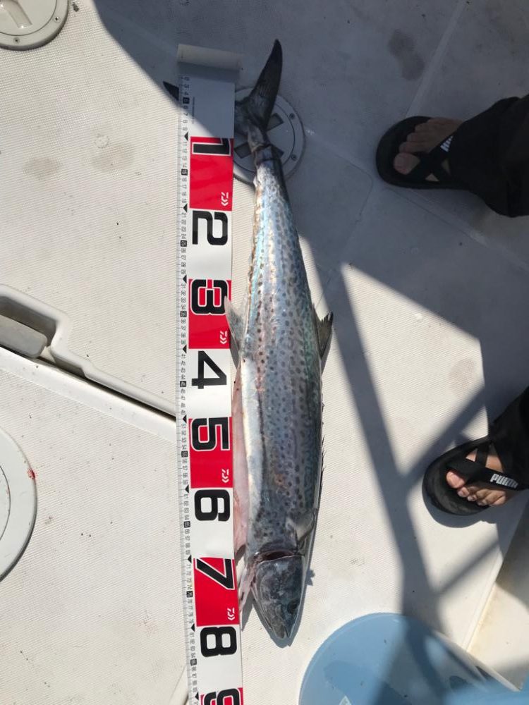 やっぱり海は玉手箱やー