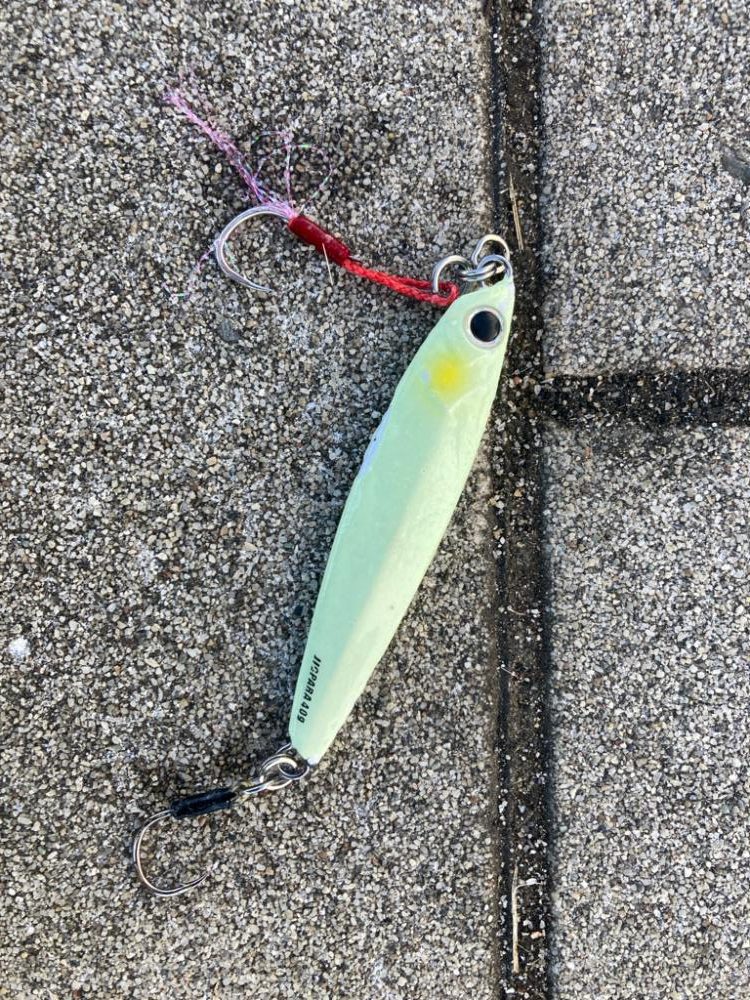 水質悪くボトム攻め。何とか青牙サゴシ1本。。。