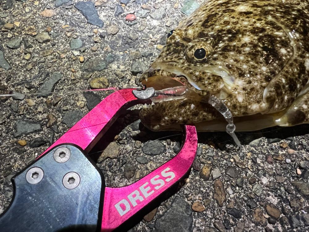 烏賊を探して三千里 Vol.5