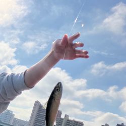 サバ、アジがたくさん良い釣り場