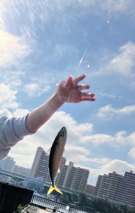 サバ、アジがたくさん良い釣り場