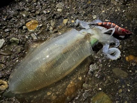 今季初のキロアップ