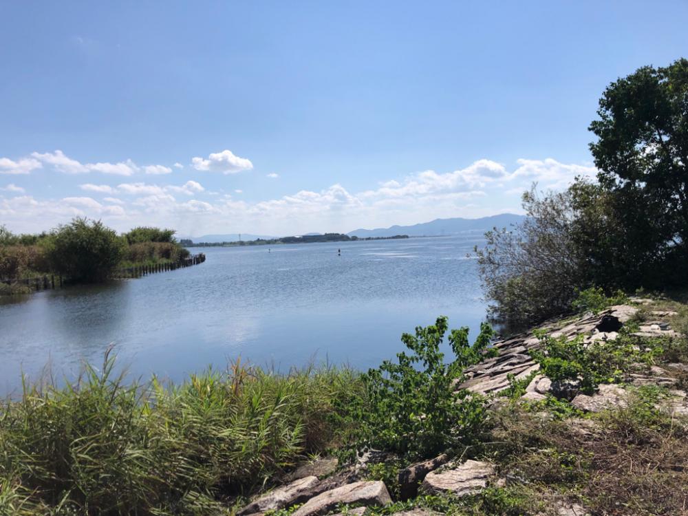 小バスのあたりのみ