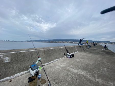 サゴシ祭りは何処へ、、、